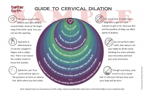 how big is 10 cm doula handout, poster