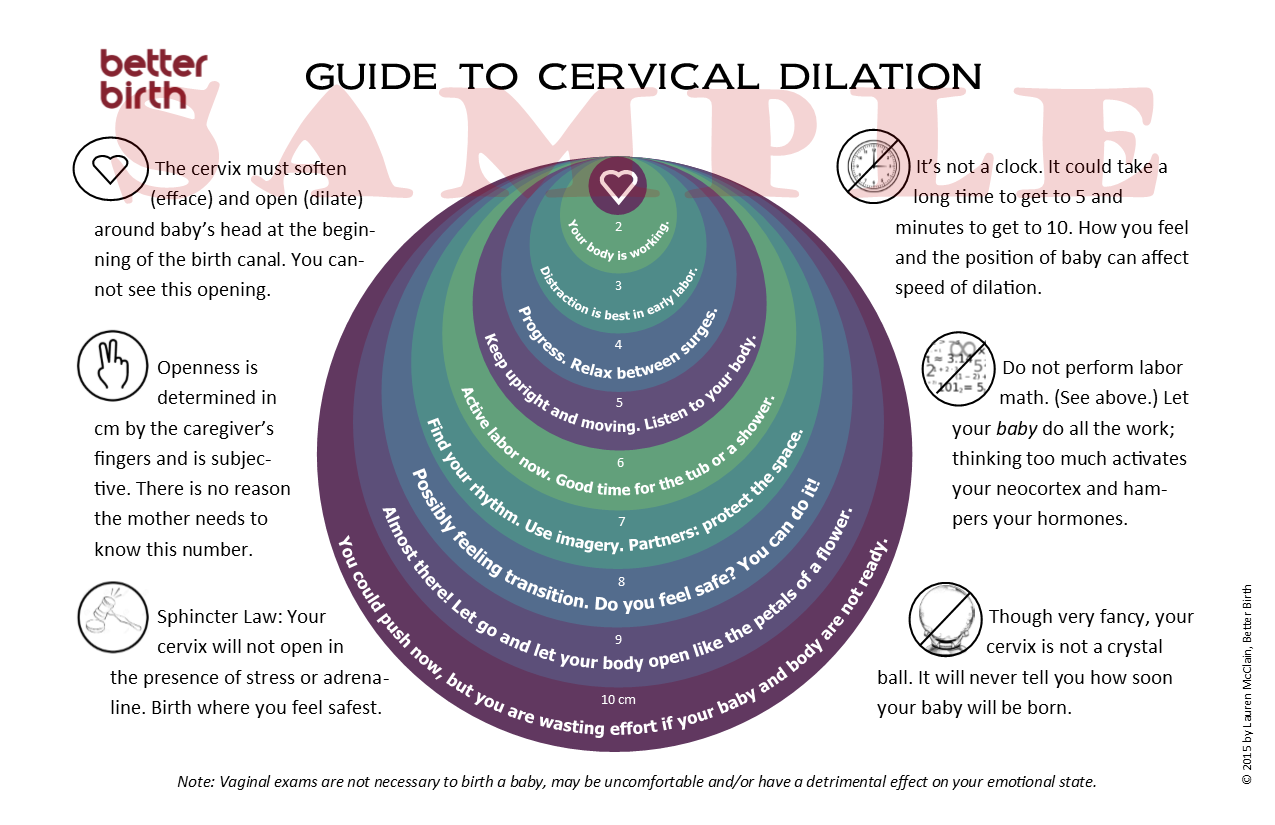 dilated cervix labor