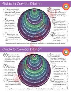 10 cm dilation cervix visual birth class doula