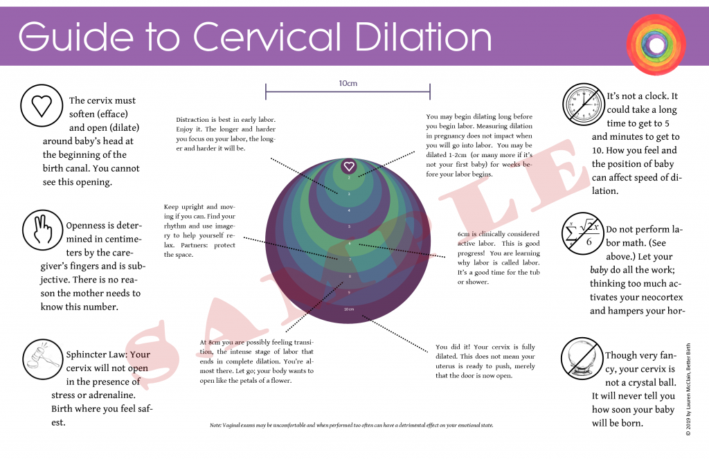 birth class handout cervix dilation