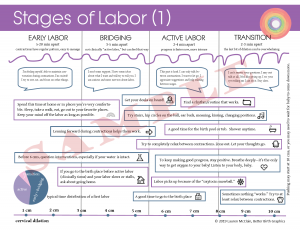 Stages of Labor Handout