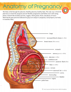 Healthy Pregnancy Checklist (1)